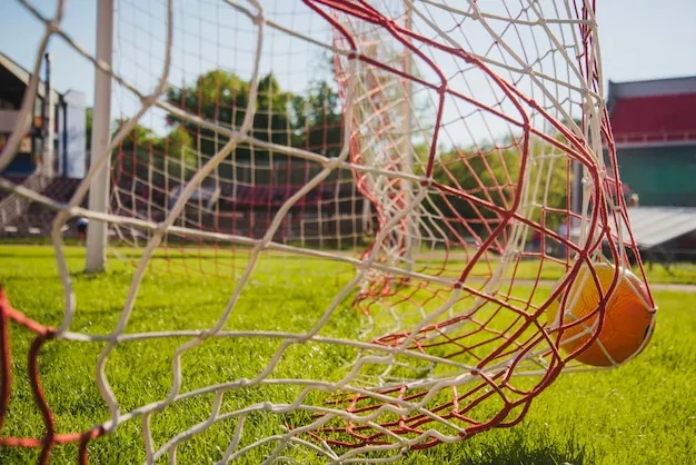 6T体育官方APP 品牌横幅